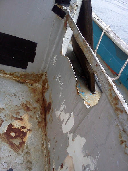 IMG_20120311_122936.jpg